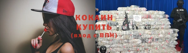 дурь Ладушкин